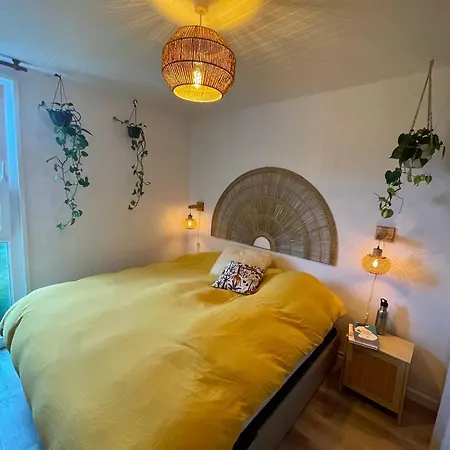 T3 - Foret & Appartement
