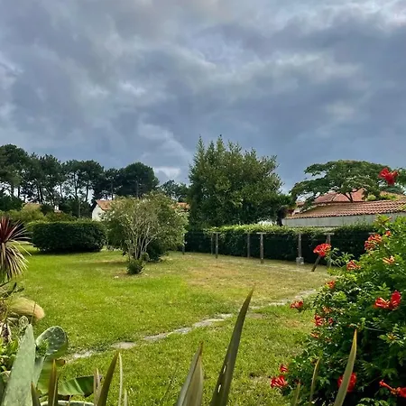 T3 - Foret & Apartamento *