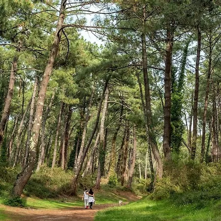T3 - Foret & * Anglet