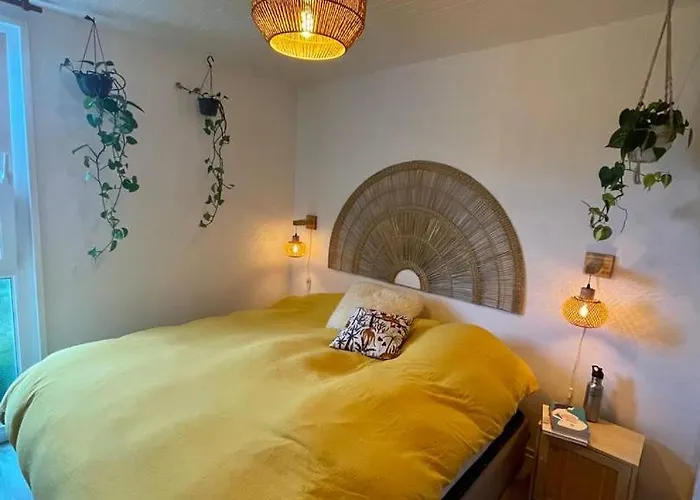 T3 - Foret & アパート