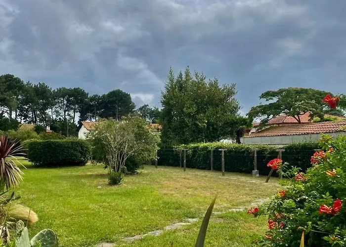 T3 - Foret & アパート *